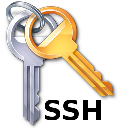 Ssh сообщить серверу публичный ключ